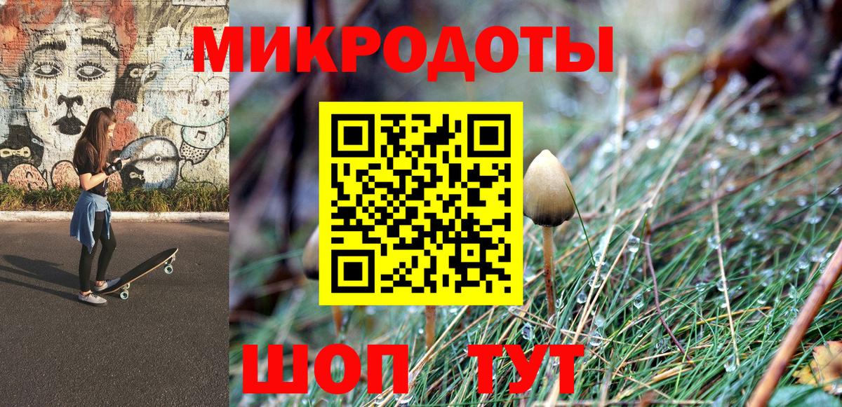 Галлюциногенные грибы мицелий  Галлюциногенные грибы Cubensis  Вход с VPN  Елизово 