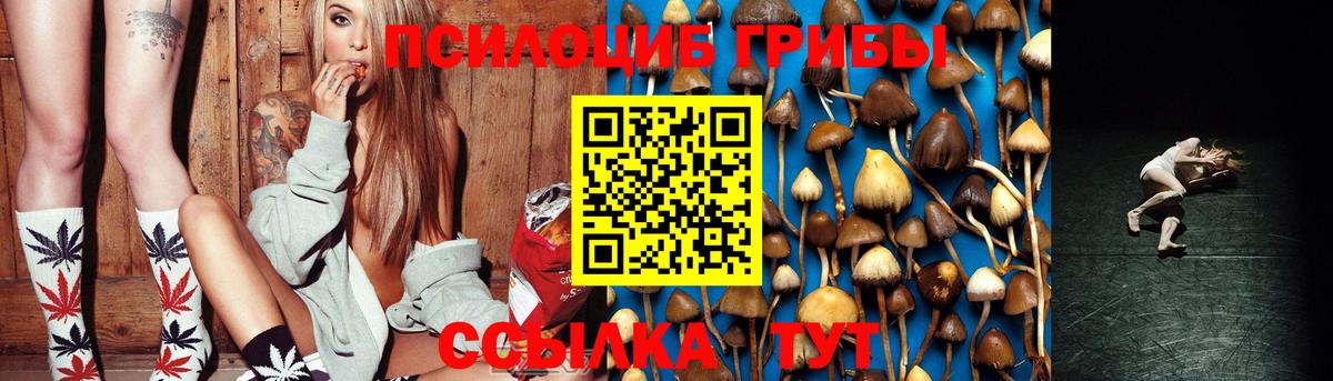 Галлюциногенные грибы Cubensis Елизово